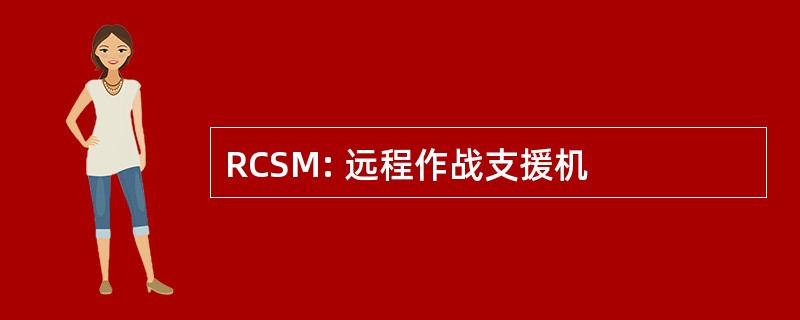 RCSM: 远程作战支援机