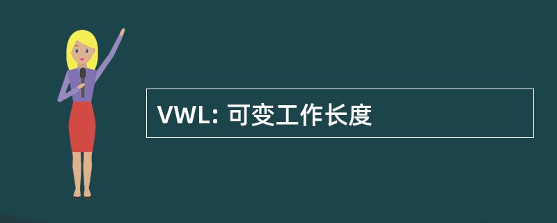 VWL: 可变工作长度