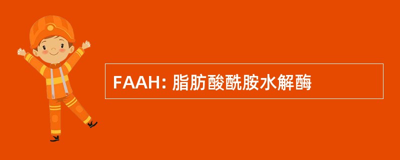 FAAH: 脂肪酸酰胺水解酶