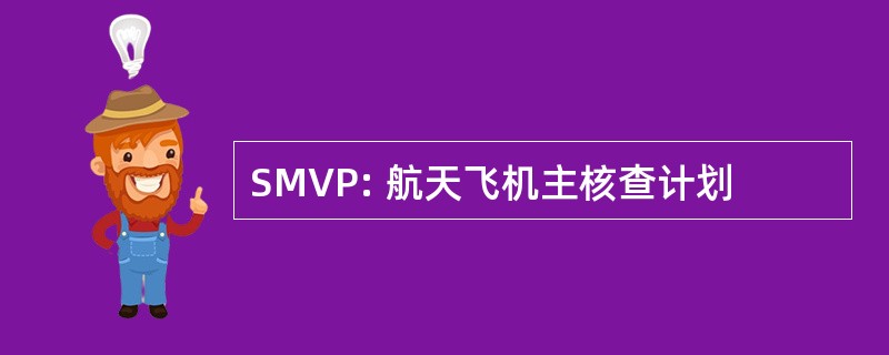 SMVP: 航天飞机主核查计划