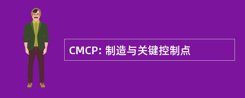 CMCP: 制造与关键控制点