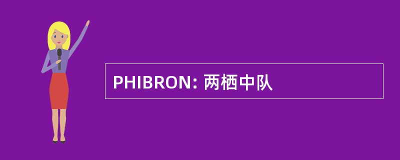 PHIBRON: 两栖中队