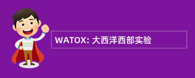 WATOX: 大西洋西部实验