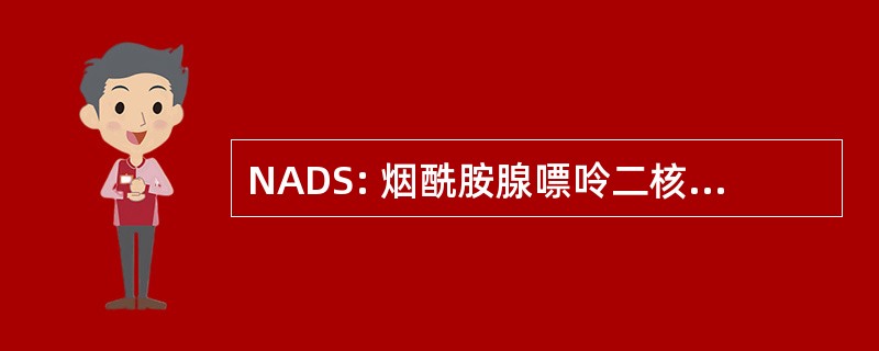 NADS: 烟酰胺腺嘌呤二核苷酸合成酶