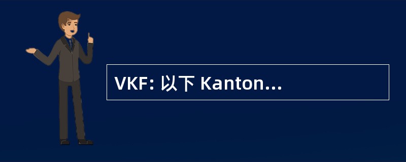 VKF: 以下 Kantonaler Feuerversicherungen