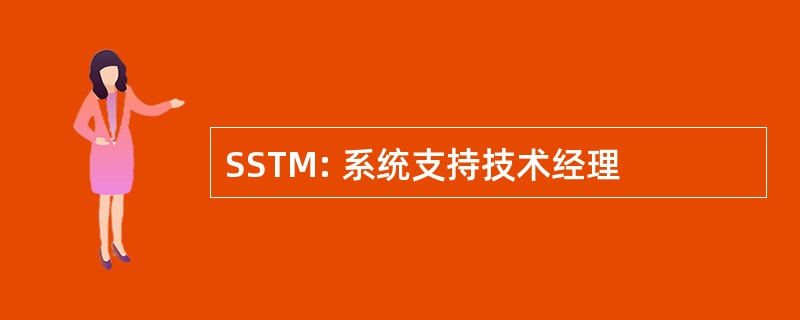 SSTM: 系统支持技术经理