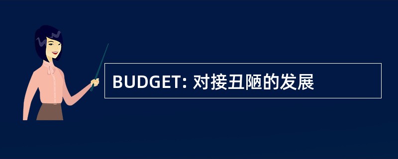 BUDGET: 对接丑陋的发展