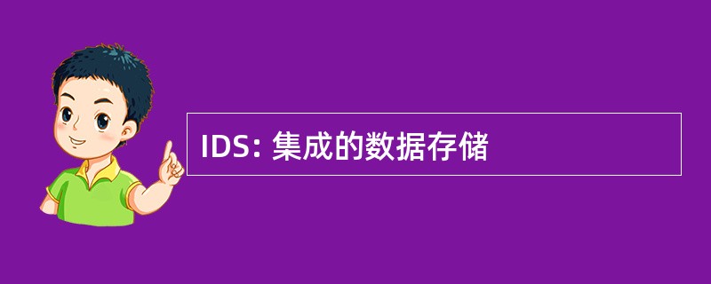 IDS: 集成的数据存储