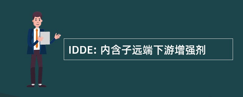 IDDE: 内含子远端下游增强剂