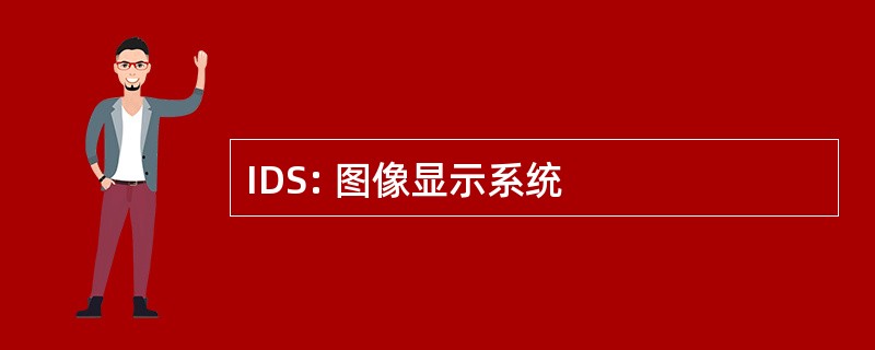 IDS: 图像显示系统