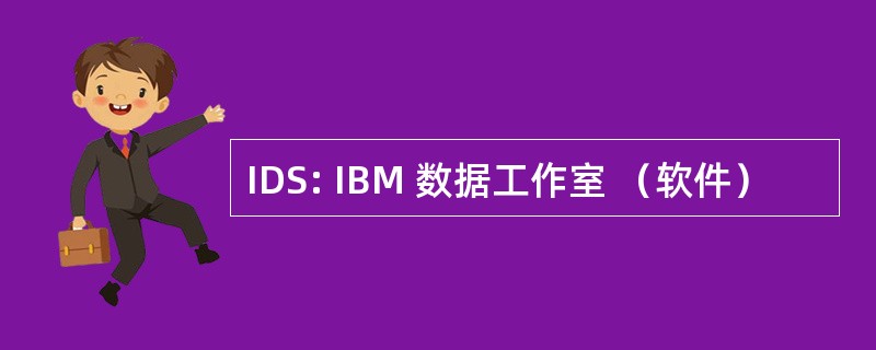 IDS: IBM 数据工作室 （软件）