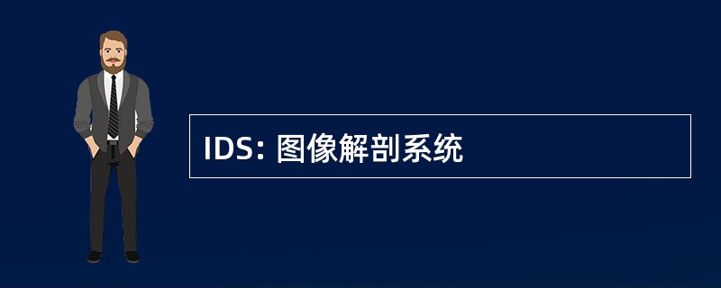 IDS: 图像解剖系统