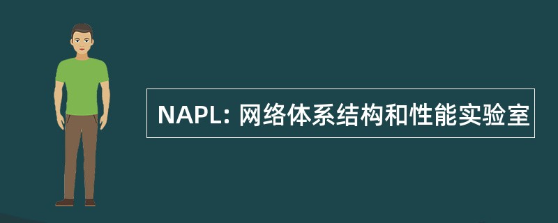 NAPL: 网络体系结构和性能实验室