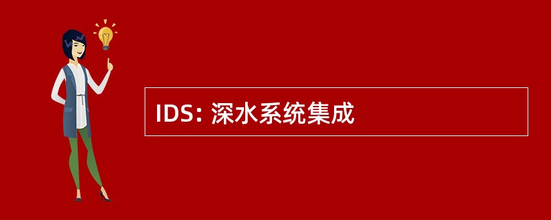 IDS: 深水系统集成