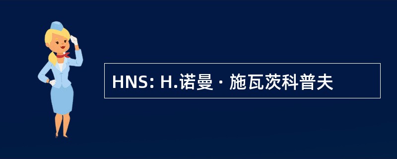 HNS: H.诺曼 · 施瓦茨科普夫