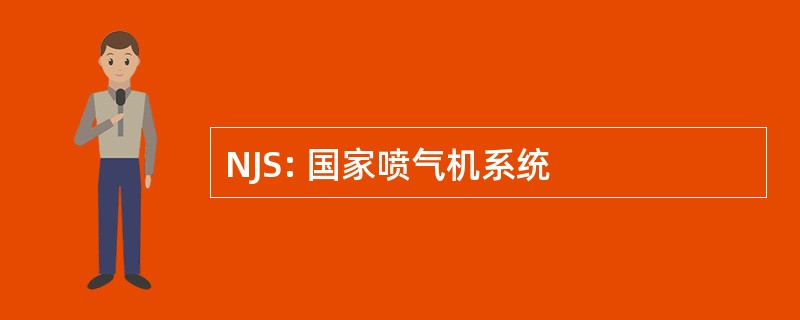 NJS: 国家喷气机系统