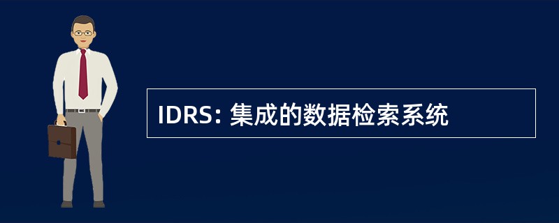 IDRS: 集成的数据检索系统