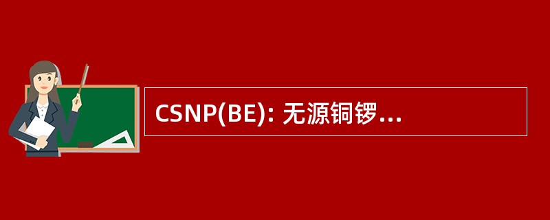 CSNP(BE): 无源铜锣节 (美国国防部)