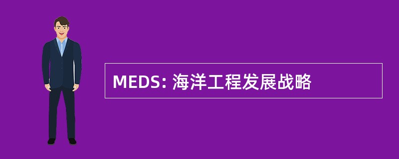 MEDS: 海洋工程发展战略