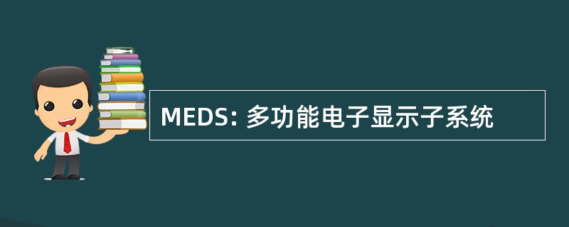 MEDS: 多功能电子显示子系统