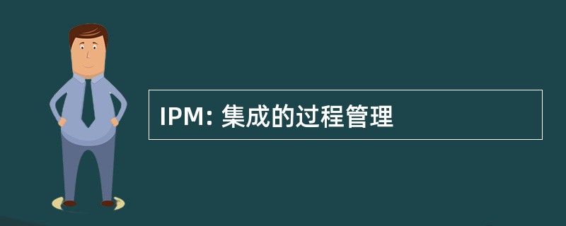 IPM: 集成的过程管理