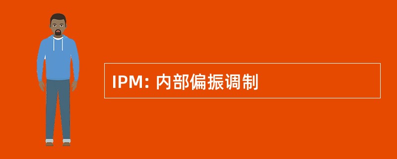 IPM: 内部偏振调制