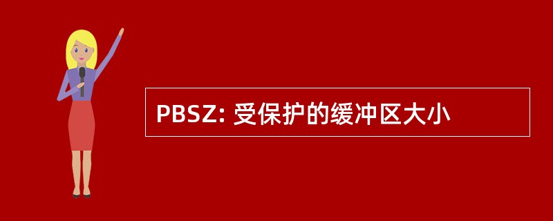 PBSZ: 受保护的缓冲区大小