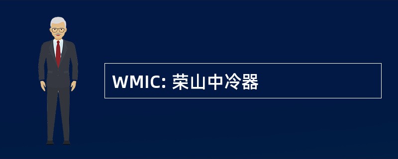 WMIC: 荣山中冷器