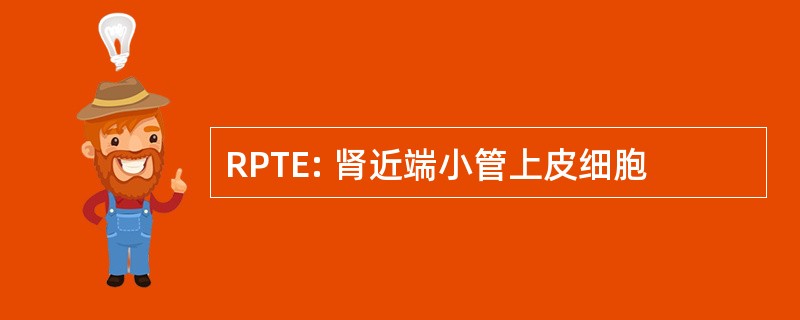 RPTE: 肾近端小管上皮细胞