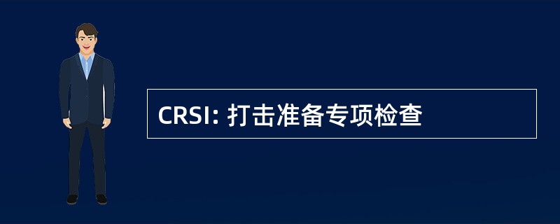 CRSI: 打击准备专项检查