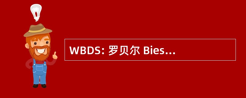 WBDS: 罗贝尔 Biesek 设计解决方案