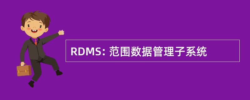 RDMS: 范围数据管理子系统