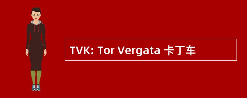 TVK: Tor Vergata 卡丁车