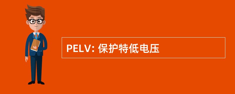 PELV: 保护特低电压