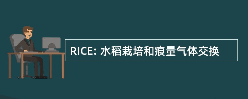 RICE: 水稻栽培和痕量气体交换