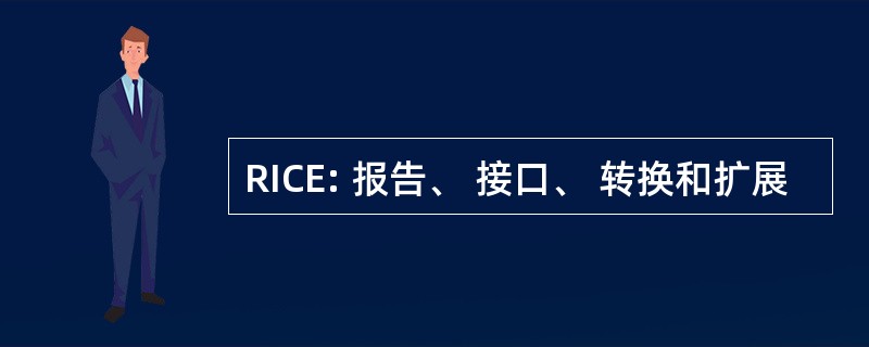 RICE: 报告、 接口、 转换和扩展