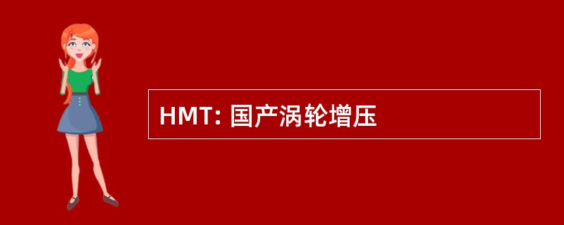 HMT: 国产涡轮增压