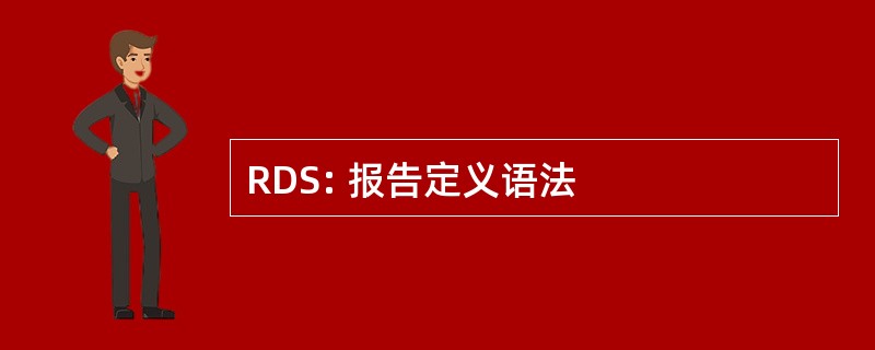 RDS: 报告定义语法