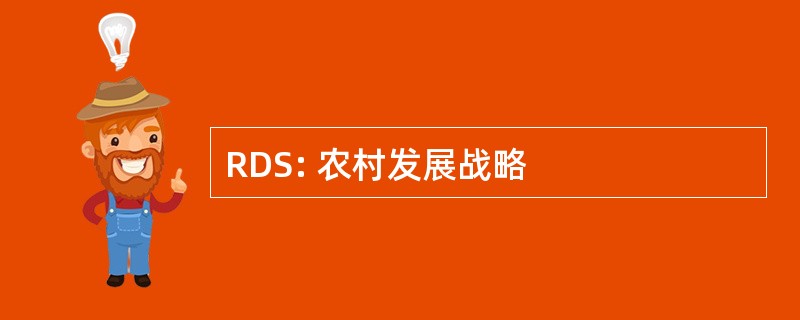 RDS: 农村发展战略