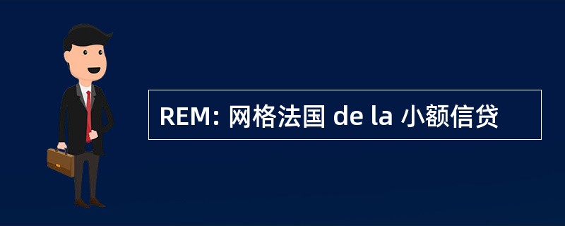 REM: 网格法国 de la 小额信贷