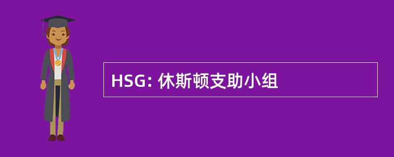 HSG: 休斯顿支助小组