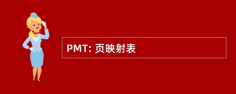 PMT: 页映射表