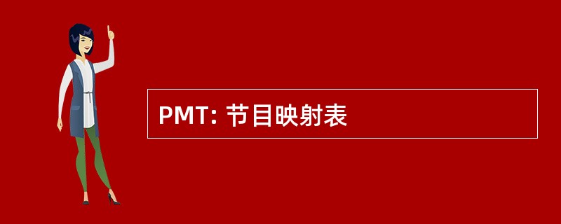 PMT: 节目映射表