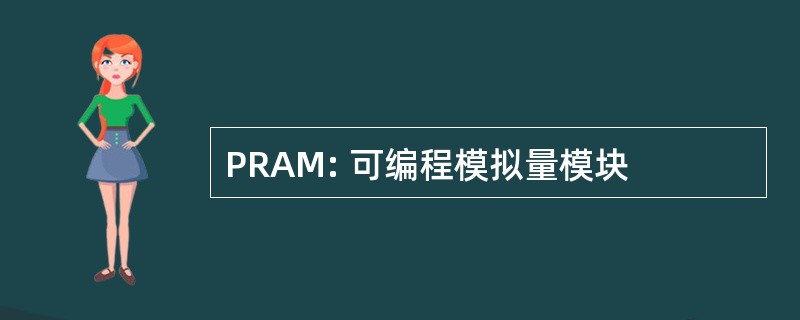 PRAM: 可编程模拟量模块