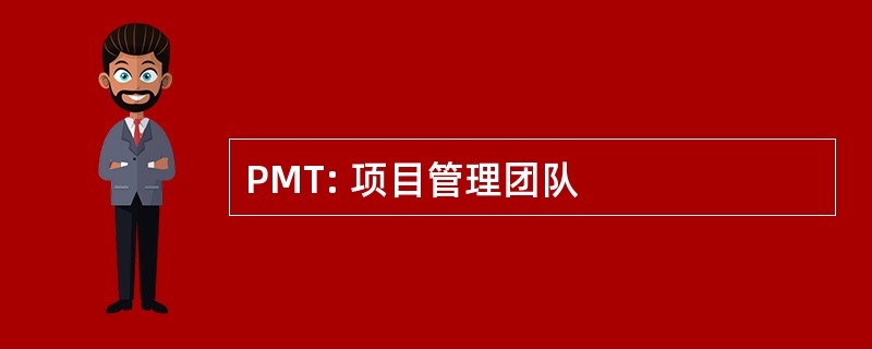 PMT: 项目管理团队