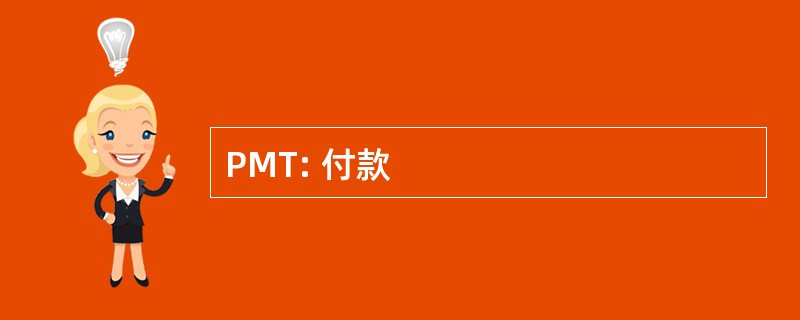 PMT: 付款