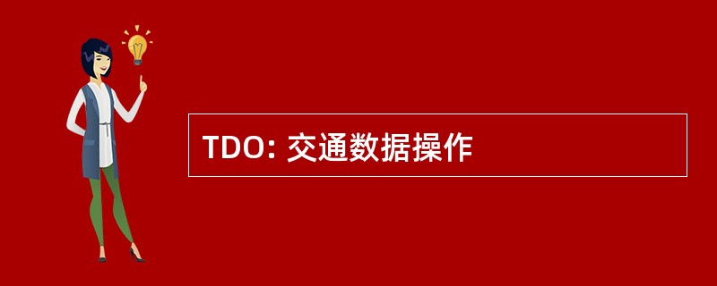 TDO: 交通数据操作