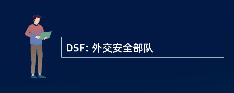 DSF: 外交安全部队