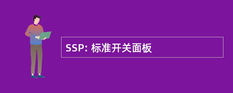 SSP: 标准开关面板