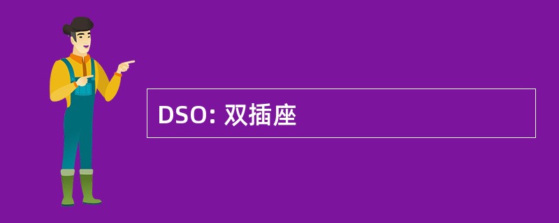 DSO: 双插座